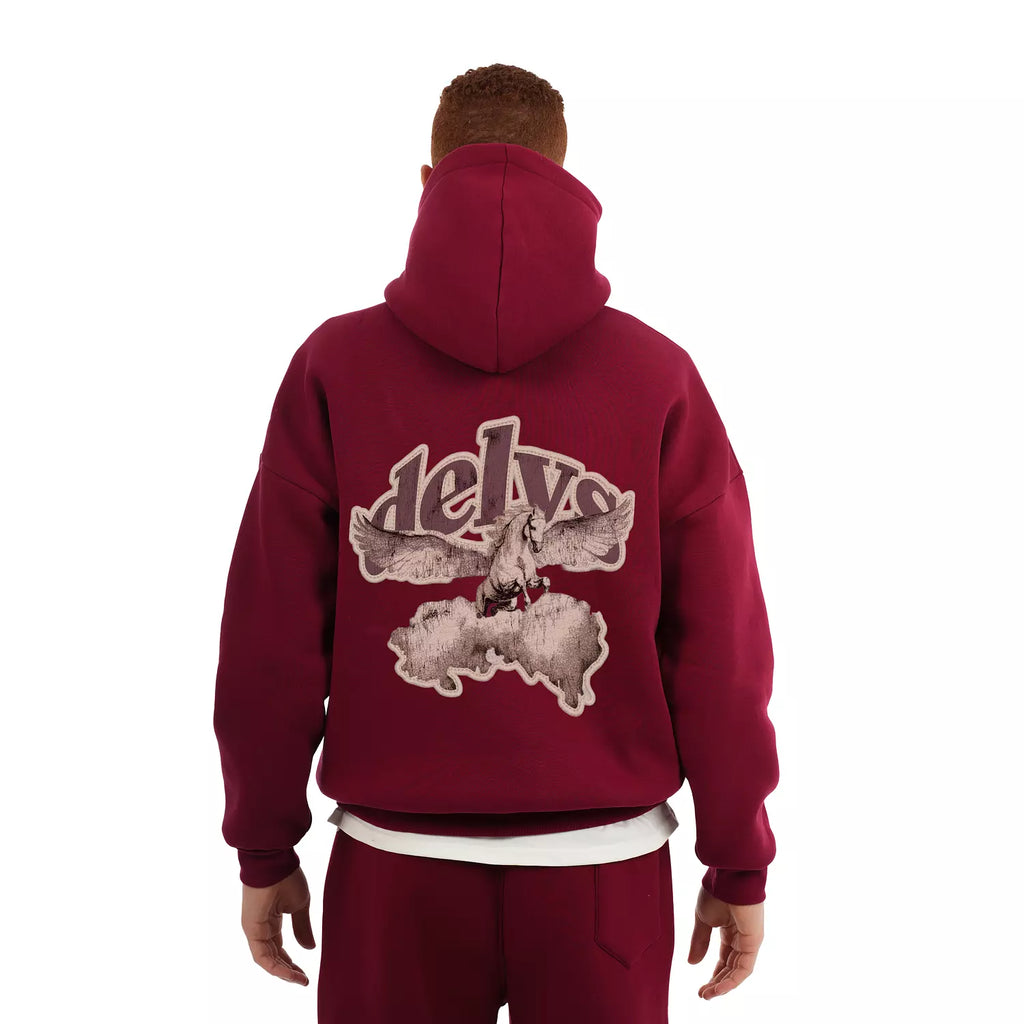 W4 DELYS Winged Spirit hoodie